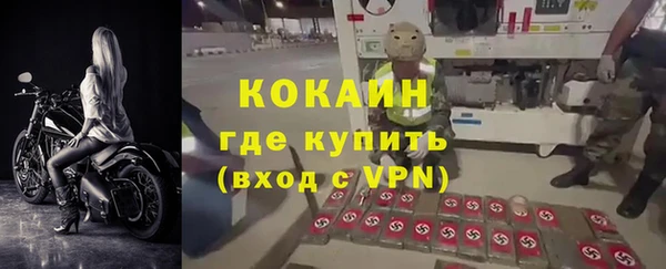 прущие грибы Сосновый Бор