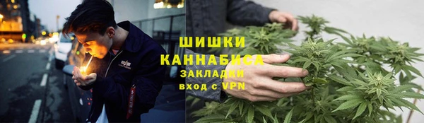 стаф Нея