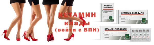 стаф Нея