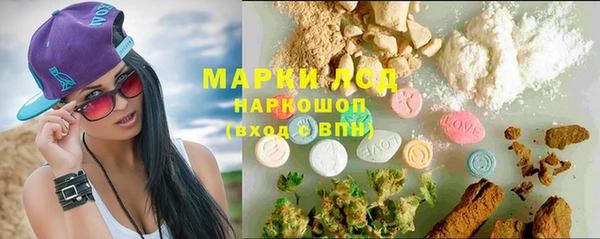 PSILOCYBIN Нефтегорск