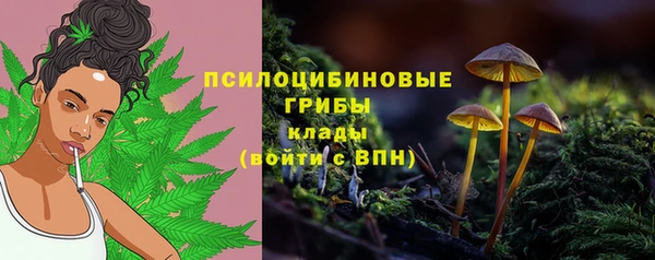 шишки Всеволожск