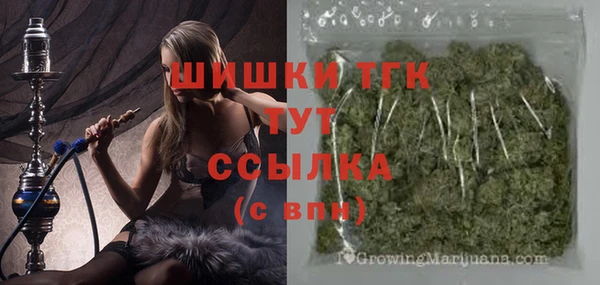 не бодяженный Новозыбков