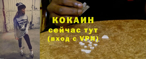 дживик Новодвинск