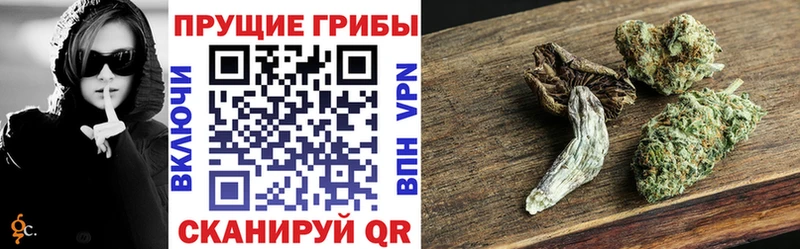 Псилоцибиновые грибы прущие грибы  omg ссылка  Губкин 