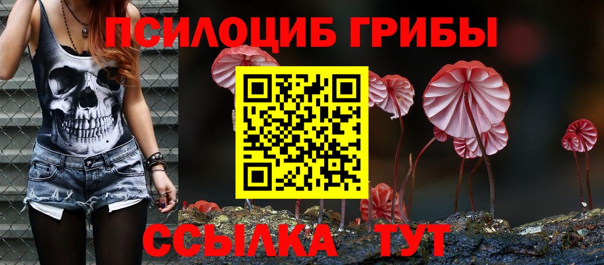 Псилоцибиновые грибы Psilocybine cubensis  Псилоцибиновые грибы Cubensis  Губкин  Вход с VPN 