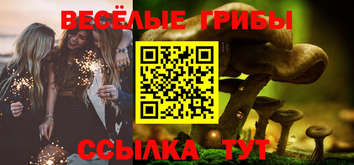 Псилоцибиновые грибы GOLDEN TEACHER  Губкин 
