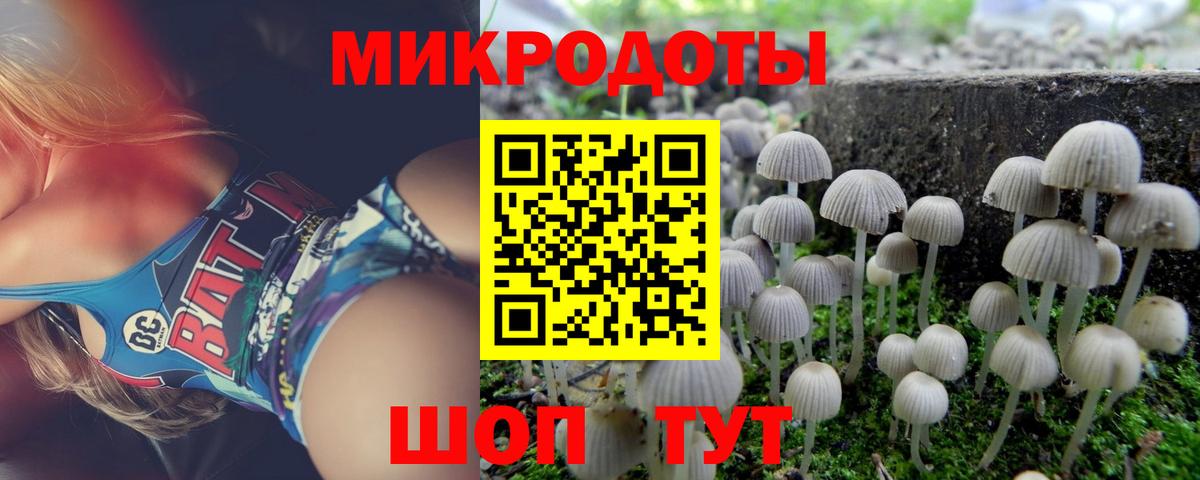 Псилоцибиновые грибы ЛСД Губкин