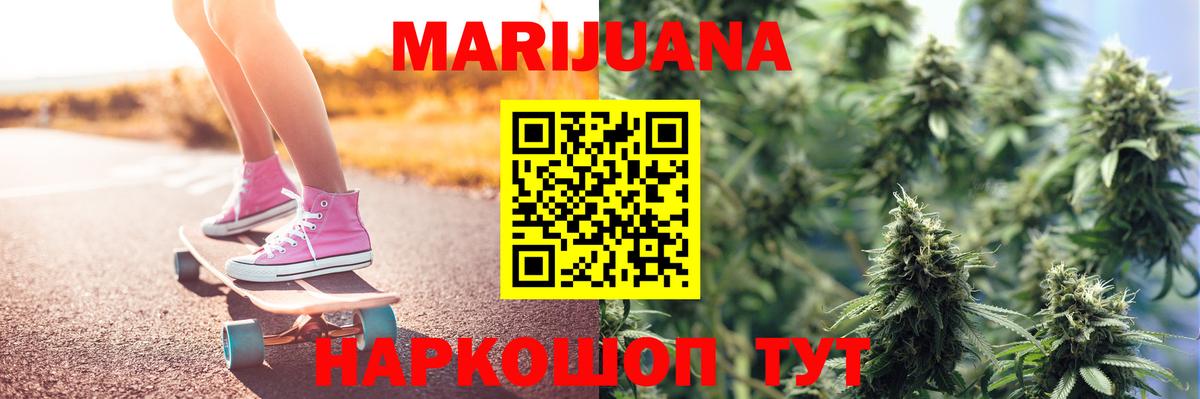Марихуана сатива  Губкин  Марихуана Ganja  Конопля план 